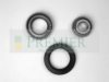 BRT Bearings BRT530 Wheel Bearing Kit